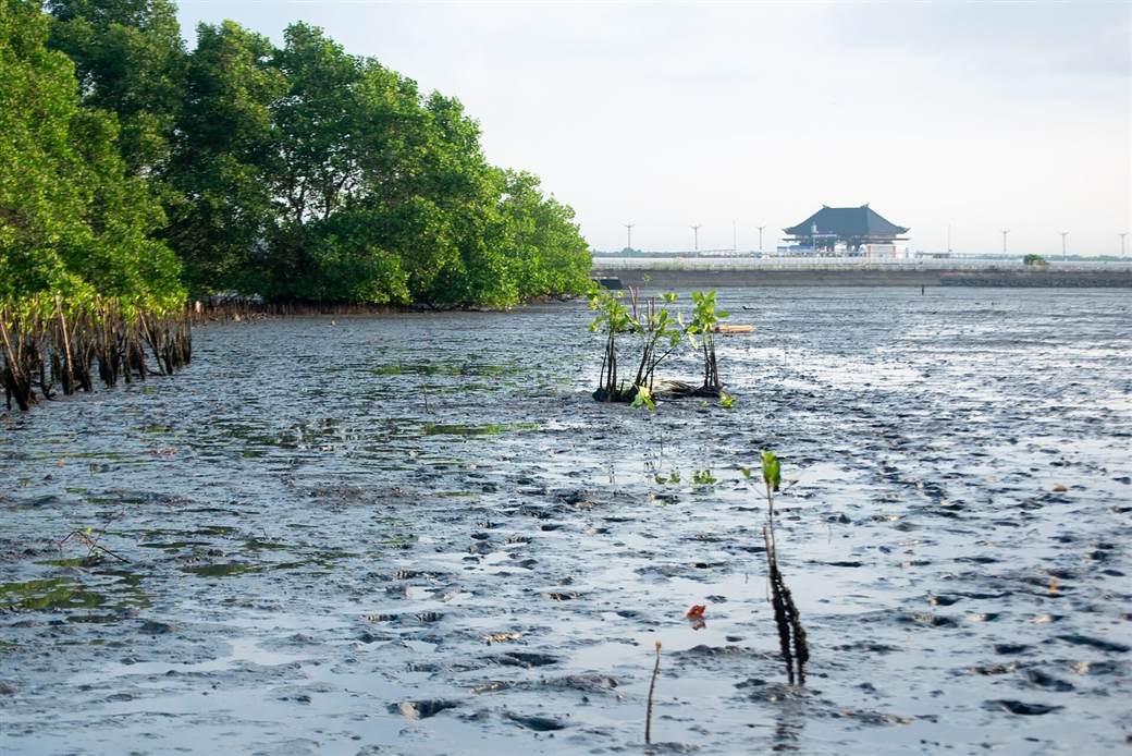 Reclaimed land