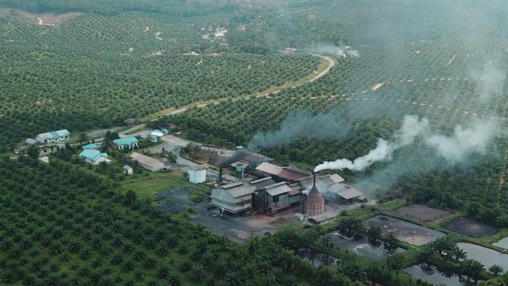 Palm mill biogas
