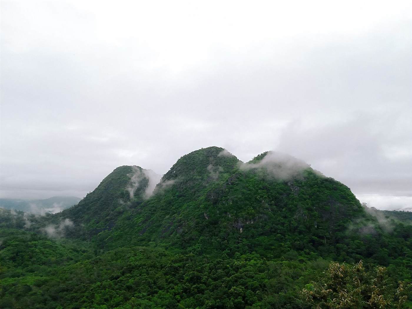 Rainforest ridge in Kalimantan